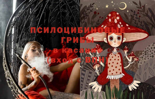 ПСИЛОЦИБИНОВЫЕ ГРИБЫ Костерёво