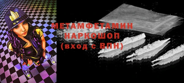 сатива Новозыбков