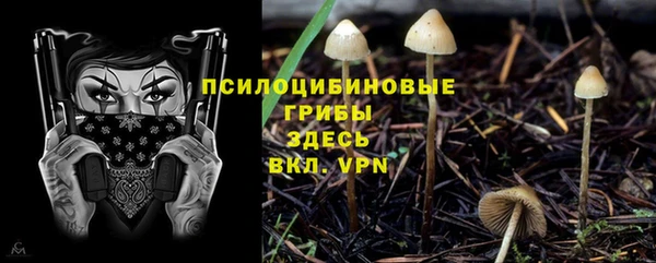 индика Алексеевка