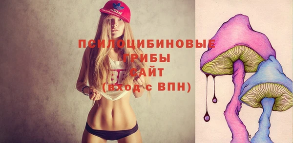 jwh Новокубанск