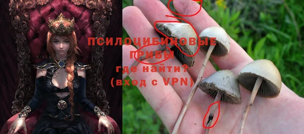 МДПВ Корсаков