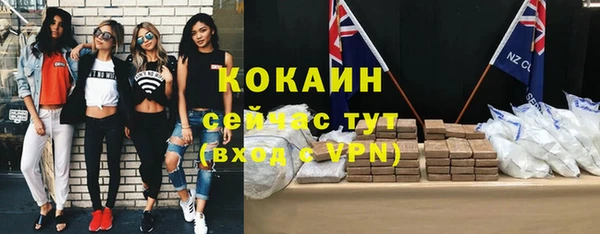 индика Алексеевка