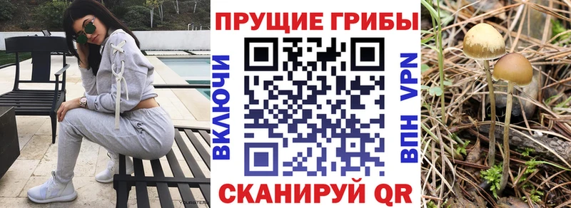 Псилоцибиновые грибы ЛСД кракен tor Мышкин